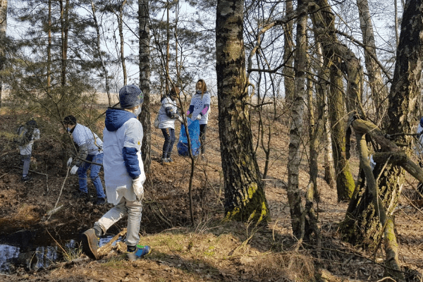 Sprzątanie lasu