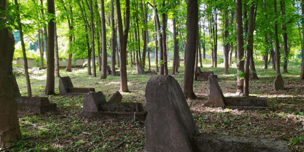 cmentarz żydowski w Dąbrowie